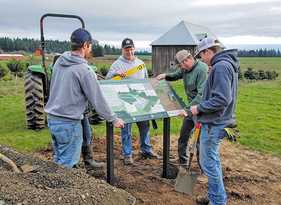 New sign christmas tree farm