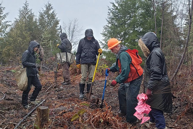 Tree Planting Workshop